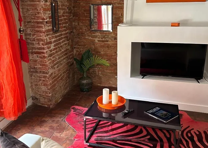 Appartement Hyper-Centre - Pont Neuf - St Cyprien