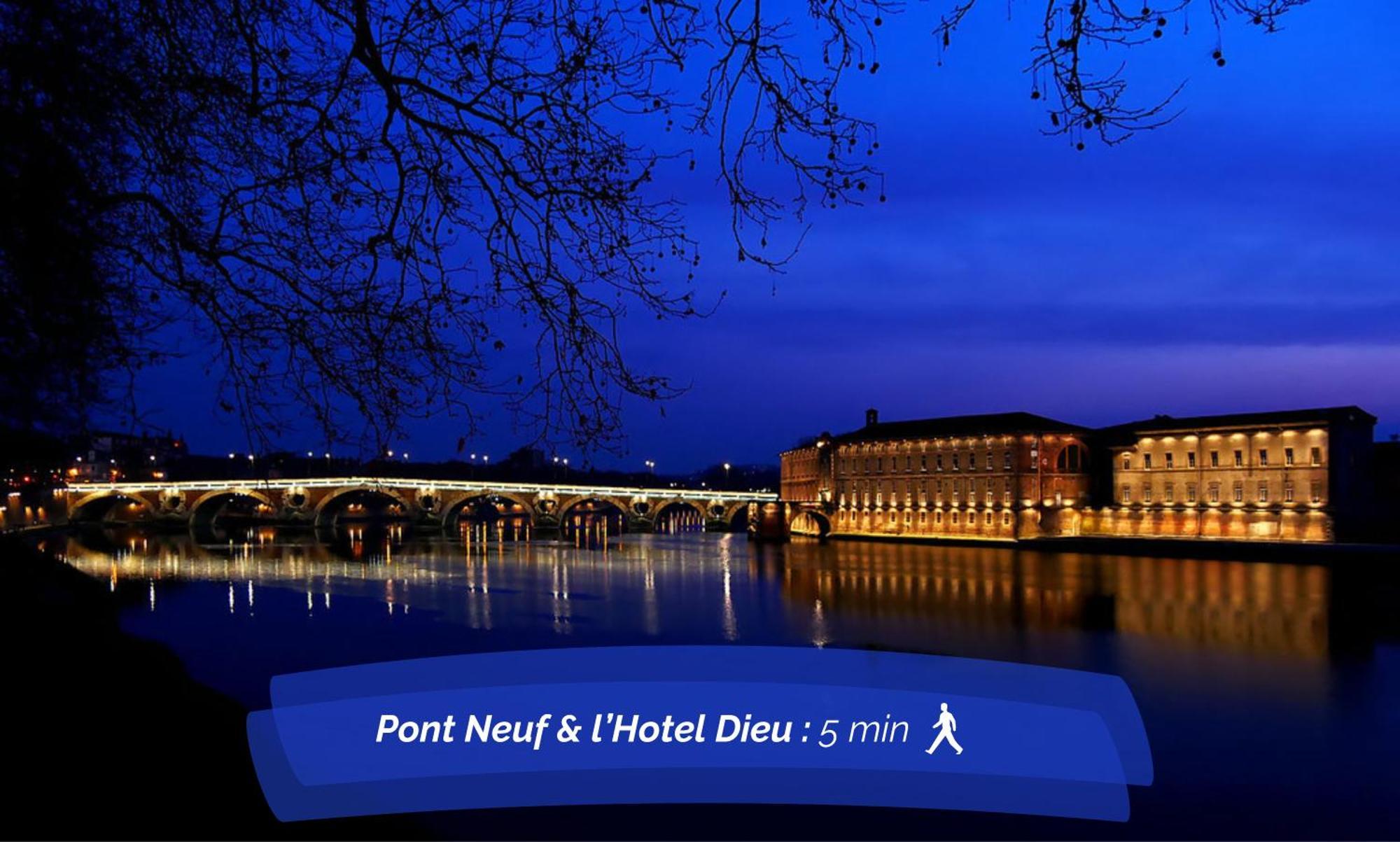 Hyper-centre - Pont Neuf - St Cyprien Toulouse