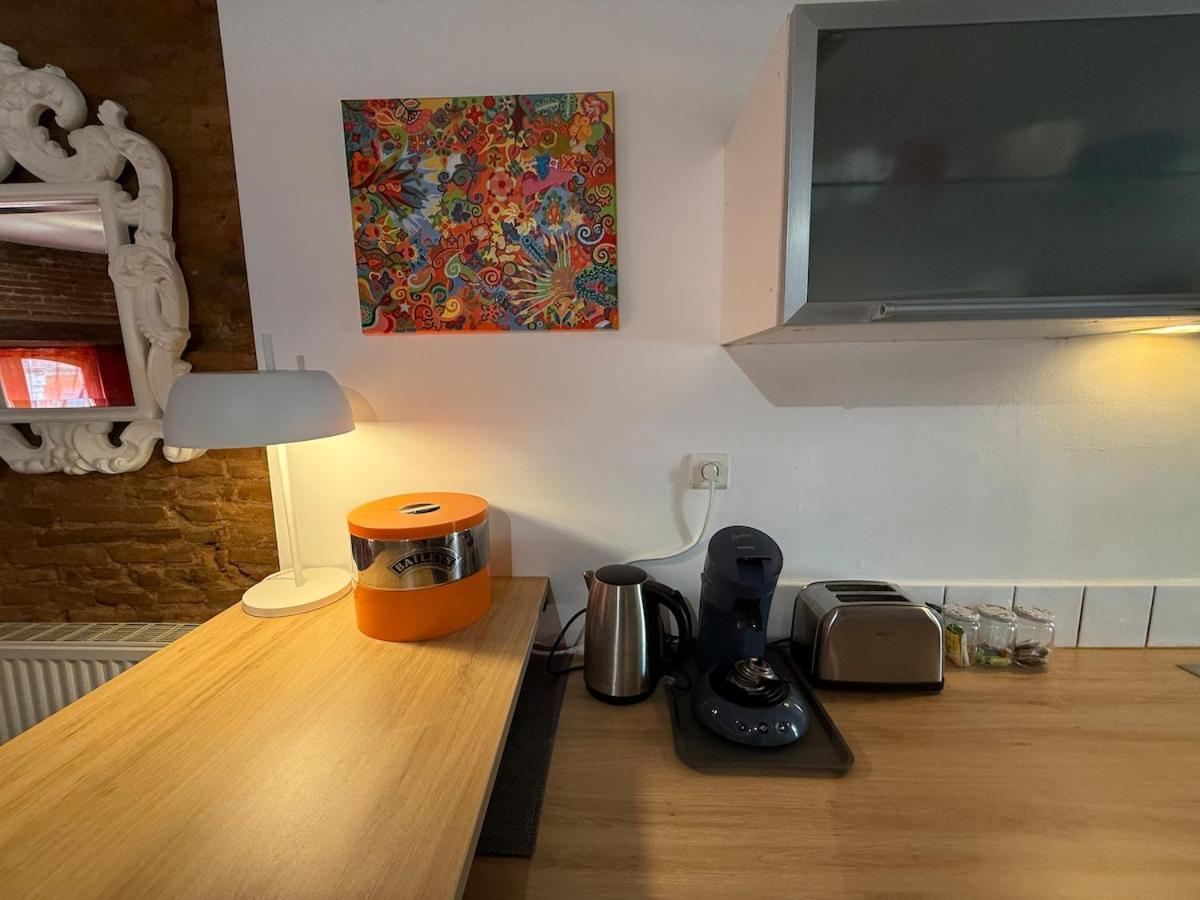 Hyper-centre - Pont Neuf - St Cyprien Apartment *